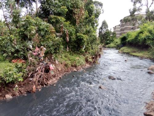 Day 2 of 3, KEPRO and PAKPRO Ngong Rivers Clean Up​​​​‌﻿‍﻿​‍​‍‌‍﻿﻿‌﻿​‍‌‍‍‌‌‍‌﻿‌‍‍‌‌‍﻿‍​‍​‍​﻿‍‍​‍​‍‌﻿​﻿‌‍​‌‌‍﻿‍‌‍‍‌‌﻿‌​‌﻿‍‌​‍﻿‍‌‍‍‌‌‍﻿﻿​‍​‍​‍﻿​​‍​‍‌‍‍​‌﻿​‍‌‍‌‌‌‍‌‍​‍​‍​﻿‍‍​‍​‍‌‍‍​‌﻿‌​‌﻿‌​‌﻿​​‌﻿​﻿​﻿‍‍​‍﻿﻿​‍﻿﻿‌﻿​﻿‌﻿‌​‌﻿‌‌‌‍‌​‌‍‍‌‌‍﻿﻿​‍﻿‍‌‍‌‌‌﻿‌​‌‍​﻿‌‍﻿﻿​‍﻿‌‌‍‍﻿‌‍‌‌‌‍﻿‍‌﻿‍‌‌‍​‌​‍﻿‍‌‍﻿﻿‌﻿​‍‌‍‌﻿​‍﻿﻿‌‍‍‌‌‍﻿‍‌﻿‌​‌‍‌‌‌‍﻿‍‌﻿‌​​‍﻿﻿‌‍‌‌‌‍‌​‌‍‍‌‌﻿‌​​‍﻿﻿‌‍﻿‌‌‍﻿﻿‌‍‌​‌‍‌‌​﻿﻿‌‌﻿​​‌﻿​‍‌‍‌‌‌﻿​﻿‌‍‌‌‌‍﻿‍‌﻿‌​‌‍​‌‌﻿‌​‌‍‍‌‌‍﻿﻿‌‍﻿‍​﻿‍﻿‌‍‍‌‌‍‌​​﻿﻿‌​﻿‌﻿​﻿‌‍​﻿‌‌​﻿​‌​﻿‍​​﻿‌​‌‍‌​‌‍​‍​‍﻿‌​﻿‍​‌‍‌​‌‍‌​​﻿‌‍​‍﻿‌​﻿‌​‌‍‌​​﻿‌‍‌‍​‌​‍﻿‌‌‍​‍​﻿‍​‌‍​‌​﻿‌‌​‍﻿‌​﻿‌‌‌‍​‌‌‍​‍‌‍​‍​﻿‍​​﻿​​‌‍‌​​﻿‌﻿‌‍‌‍‌‍​‌‌‍​‌​﻿‌‍​﻿‍﻿‌﻿‌​‌﻿‍‌‌﻿​​‌‍‌‌​﻿﻿‌‌﻿​​‌‍﻿﻿‌﻿​﻿‌﻿‌​​﻿‍﻿‌﻿​​‌‍​‌‌﻿‌​‌‍‍​​﻿﻿‌‌﻿‌​‌‍‍‌‌﻿‌​‌‍﻿​‌‍‌‌​﻿﻿﻿‌‍​‍‌‍​‌‌﻿​﻿‌‍‌‌‌‌‌‌‌﻿​‍‌‍﻿​​﻿﻿‌‌‍‍​‌﻿‌​‌﻿‌​‌﻿​​‌﻿​﻿​‍‌‌​﻿​﻿‌​​‌​‍‌‌​﻿​‍‌​‌‍​‍‌‌​﻿​‍‌​‌‍‌﻿​﻿‌﻿‌​‌﻿‌‌‌‍‌​‌‍‍‌‌‍﻿﻿​‍﻿‍‌‍‌‌‌﻿‌​‌‍​﻿‌‍﻿﻿​‍﻿‌‌‍‍﻿‌‍‌‌‌‍﻿‍‌﻿‍‌‌‍​‌​‍﻿‍‌‍﻿﻿‌﻿​‍‌‍‌﻿​‍‌‍‌‍‍‌‌‍‌​​﻿﻿‌​﻿‌﻿​﻿‌‍​﻿‌‌​﻿​‌​﻿‍​​﻿‌​‌‍‌​‌‍​‍​‍﻿‌​﻿‍​‌‍‌​‌‍‌​​﻿‌‍​‍﻿‌​﻿‌​‌‍‌​​﻿‌‍‌‍​‌​‍﻿‌‌‍​‍​﻿‍​‌‍​‌​﻿‌‌​‍﻿‌​﻿‌‌‌‍​‌‌‍​‍‌‍​‍​﻿‍​​﻿​​‌‍‌​​﻿‌﻿‌‍‌‍‌‍​‌‌‍​‌​﻿‌‍​‍‌‍‌﻿‌​‌﻿‍‌‌﻿​​‌‍‌‌​﻿﻿‌‌﻿​​‌‍﻿﻿‌﻿​﻿‌﻿‌​​‍‌‍‌﻿​​‌‍​‌‌﻿‌​‌‍‍​​﻿﻿‌‌﻿‌​‌‍‍‌‌﻿‌​‌‍﻿​‌‍‌‌​‍​‍‌﻿﻿‌