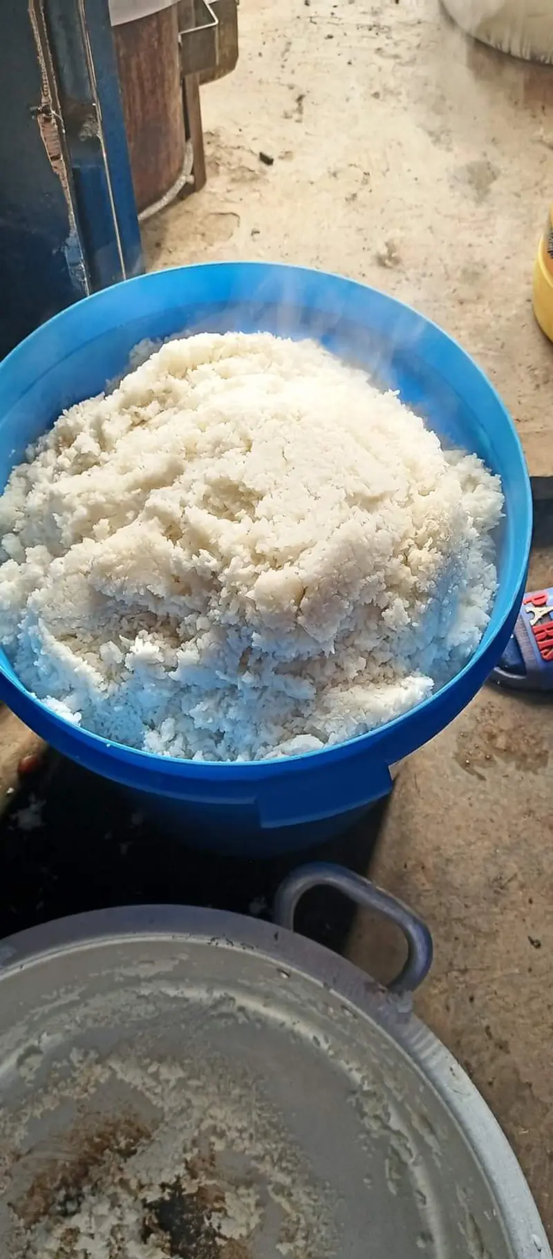 Week 4 of 2024​​​​‌﻿‍﻿​‍​‍‌‍﻿﻿‌﻿​‍‌‍‍‌‌‍‌﻿‌‍‍‌‌‍﻿‍​‍​‍​﻿‍‍​‍​‍‌﻿​﻿‌‍​‌‌‍﻿‍‌‍‍‌‌﻿‌​‌﻿‍‌​‍﻿‍‌‍‍‌‌‍﻿﻿​‍​‍​‍﻿​​‍​‍‌‍‍​‌﻿​‍‌‍‌‌‌‍‌‍​‍​‍​﻿‍‍​‍​‍‌‍‍​‌﻿‌​‌﻿‌​‌﻿​​‌﻿​﻿​﻿‍‍​‍﻿﻿​‍﻿﻿‌﻿​﻿‌﻿‌​‌﻿‌‌‌‍‌​‌‍‍‌‌‍﻿﻿​‍﻿‍‌‍‌‌‌﻿‌​‌‍​﻿‌‍﻿﻿​‍﻿‌‌‍‍﻿‌‍‌‌‌‍﻿‍‌﻿‍‌‌‍​‌​‍﻿‍‌‍﻿﻿‌﻿​‍‌‍‌﻿​‍﻿﻿‌‍‍‌‌‍﻿‍‌﻿‌​‌‍‌‌‌‍﻿‍‌﻿‌​​‍﻿﻿‌‍‌‌‌‍‌​‌‍‍‌‌﻿‌​​‍﻿﻿‌‍﻿‌‌‍﻿﻿‌‍‌​‌‍‌‌​﻿﻿‌‌﻿​​‌﻿​‍‌‍‌‌‌﻿​﻿‌‍‌‌‌‍﻿‍‌﻿‌​‌‍​‌‌﻿‌​‌‍‍‌‌‍﻿﻿‌‍﻿‍​﻿‍﻿‌‍‍‌‌‍‌​​﻿﻿‌‌‍‌‍​﻿​﻿​﻿​​‌‍​‍​﻿​‌​﻿​﻿​﻿‍​‌‍​﻿​‍﻿‌​﻿‌​​﻿​​​﻿​‌​﻿‍​​‍﻿‌​﻿‌​‌‍‌‍​﻿‌‍‌‍​‌​‍﻿‌​﻿‍​​﻿‌‌‌‍​‌​﻿‌​​‍﻿‌​﻿‍​‌‍‌‍‌‍​﻿​﻿‌‌​﻿‌​​﻿‌‍‌‍​‌​﻿​‍‌‍​﻿​﻿​​​﻿‍​‌‍​﻿​﻿‍﻿‌﻿‌​‌﻿‍‌‌﻿​​‌‍‌‌​﻿﻿‌‌﻿​​‌‍﻿﻿‌﻿​﻿‌﻿‌​​﻿‍﻿‌﻿​​‌‍​‌‌﻿‌​‌‍‍​​﻿﻿‌‌﻿‌​‌‍‍‌‌﻿‌​‌‍﻿​‌‍‌‌​﻿﻿﻿‌‍​‍‌‍​‌‌﻿​﻿‌‍‌‌‌‌‌‌‌﻿​‍‌‍﻿​​﻿﻿‌‌‍‍​‌﻿‌​‌﻿‌​‌﻿​​‌﻿​﻿​‍‌‌​﻿​﻿‌​​‌​‍‌‌​﻿​‍‌​‌‍​‍‌‌​﻿​‍‌​‌‍‌﻿​﻿‌﻿‌​‌﻿‌‌‌‍‌​‌‍‍‌‌‍﻿﻿​‍﻿‍‌‍‌‌‌﻿‌​‌‍​﻿‌‍﻿﻿​‍﻿‌‌‍‍﻿‌‍‌‌‌‍﻿‍‌﻿‍‌‌‍​‌​‍﻿‍‌‍﻿﻿‌﻿​‍‌‍‌﻿​‍‌‍‌‍‍‌‌‍‌​​﻿﻿‌‌‍‌‍​﻿​﻿​﻿​​‌‍​‍​﻿​‌​﻿​﻿​﻿‍​‌‍​﻿​‍﻿‌​﻿‌​​﻿​​​﻿​‌​﻿‍​​‍﻿‌​﻿‌​‌‍‌‍​﻿‌‍‌‍​‌​‍﻿‌​﻿‍​​﻿‌‌‌‍​‌​﻿‌​​‍﻿‌​﻿‍​‌‍‌‍‌‍​﻿​﻿‌‌​﻿‌​​﻿‌‍‌‍​‌​﻿​‍‌‍​﻿​﻿​​​﻿‍​‌‍​﻿​‍‌‍‌﻿‌​‌﻿‍‌‌﻿​​‌‍‌‌​﻿﻿‌‌﻿​​‌‍﻿﻿‌﻿​﻿‌﻿‌​​‍‌‍‌﻿​​‌‍​‌‌﻿‌​‌‍‍​​﻿﻿‌‌﻿‌​‌‍‍‌‌﻿‌​‌‍﻿​‌‍‌‌​‍​‍‌﻿﻿‌