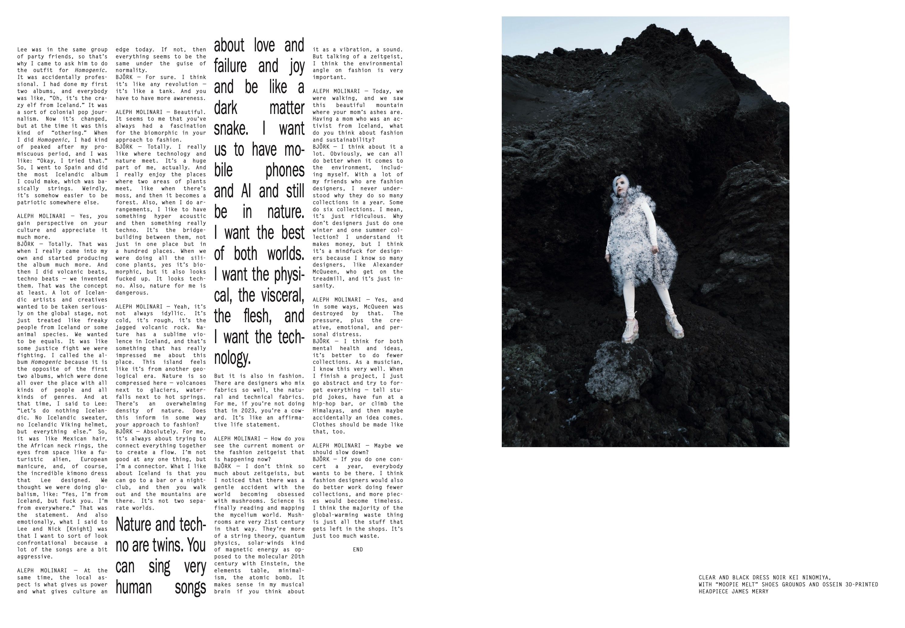 BJÖRK, image 4