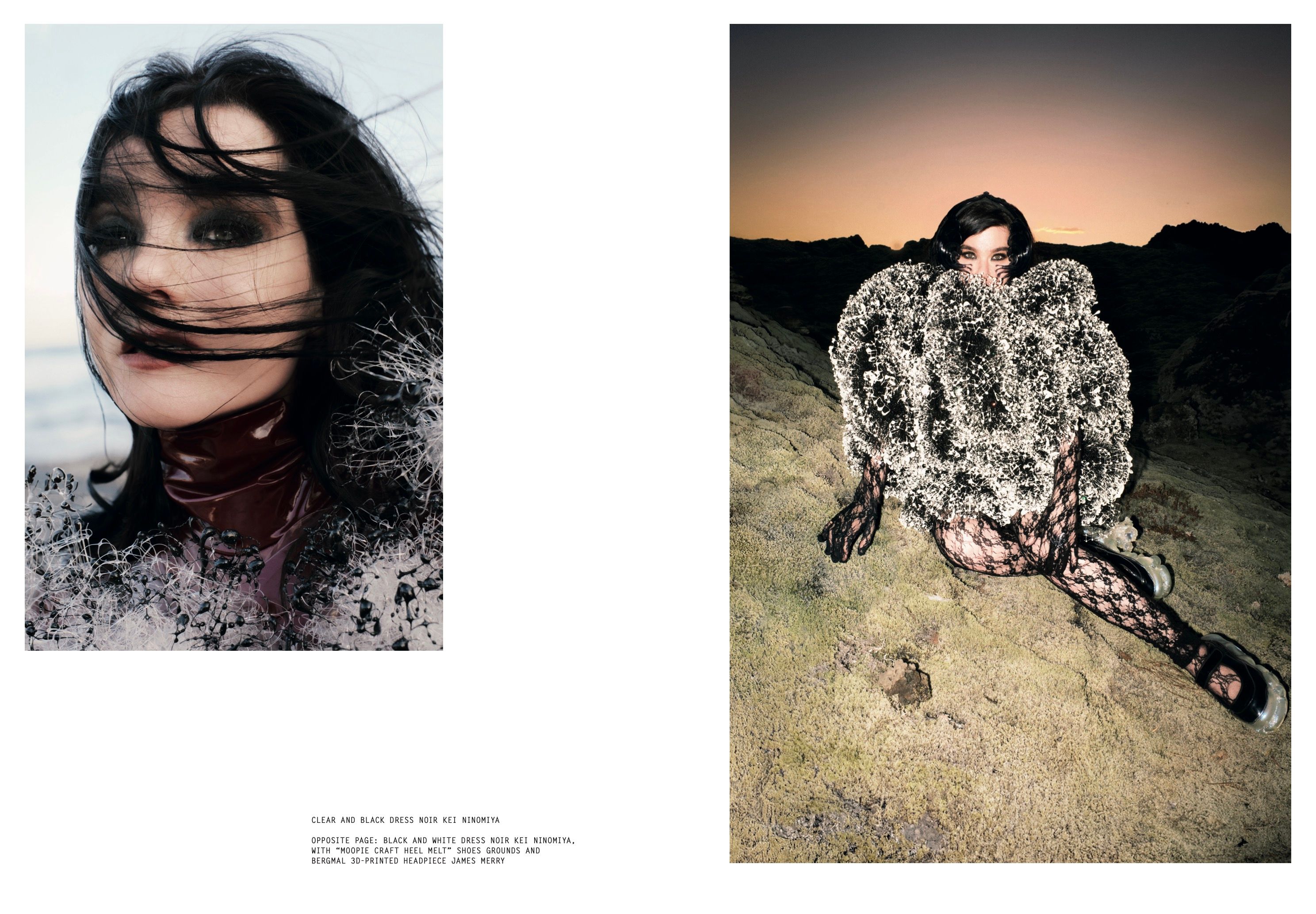 BJÖRK, image 2