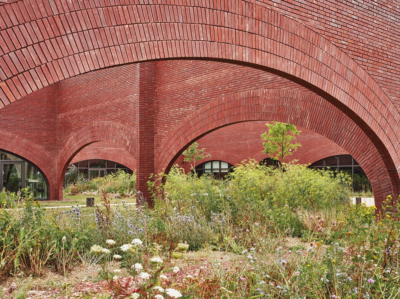 LINA GHOTMEH, image 5