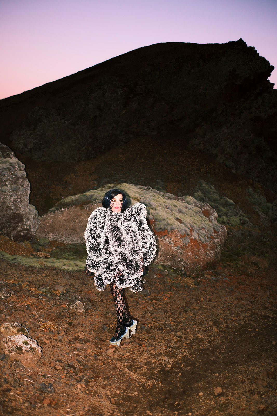 BJÖRK, image 2