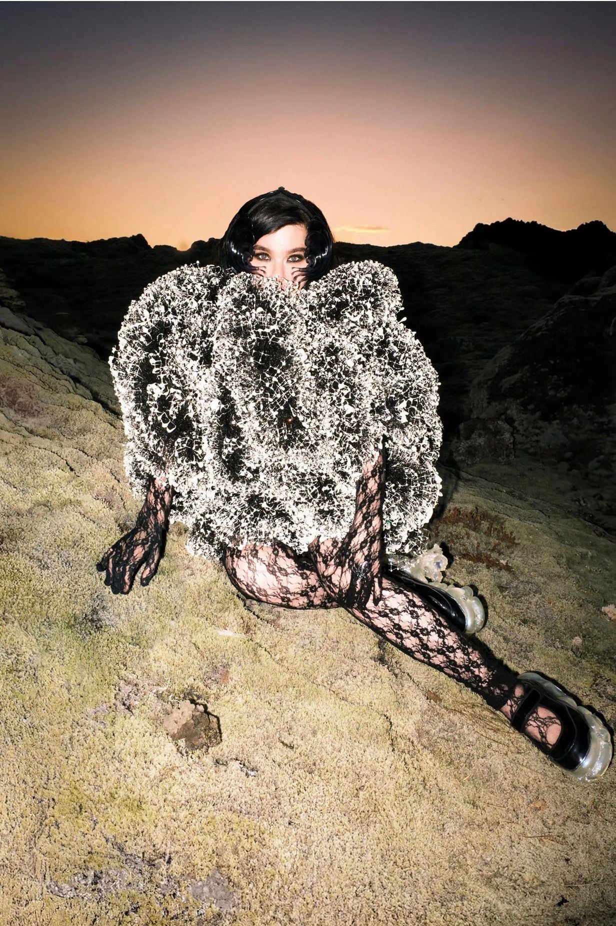 BJÖRK, image 1