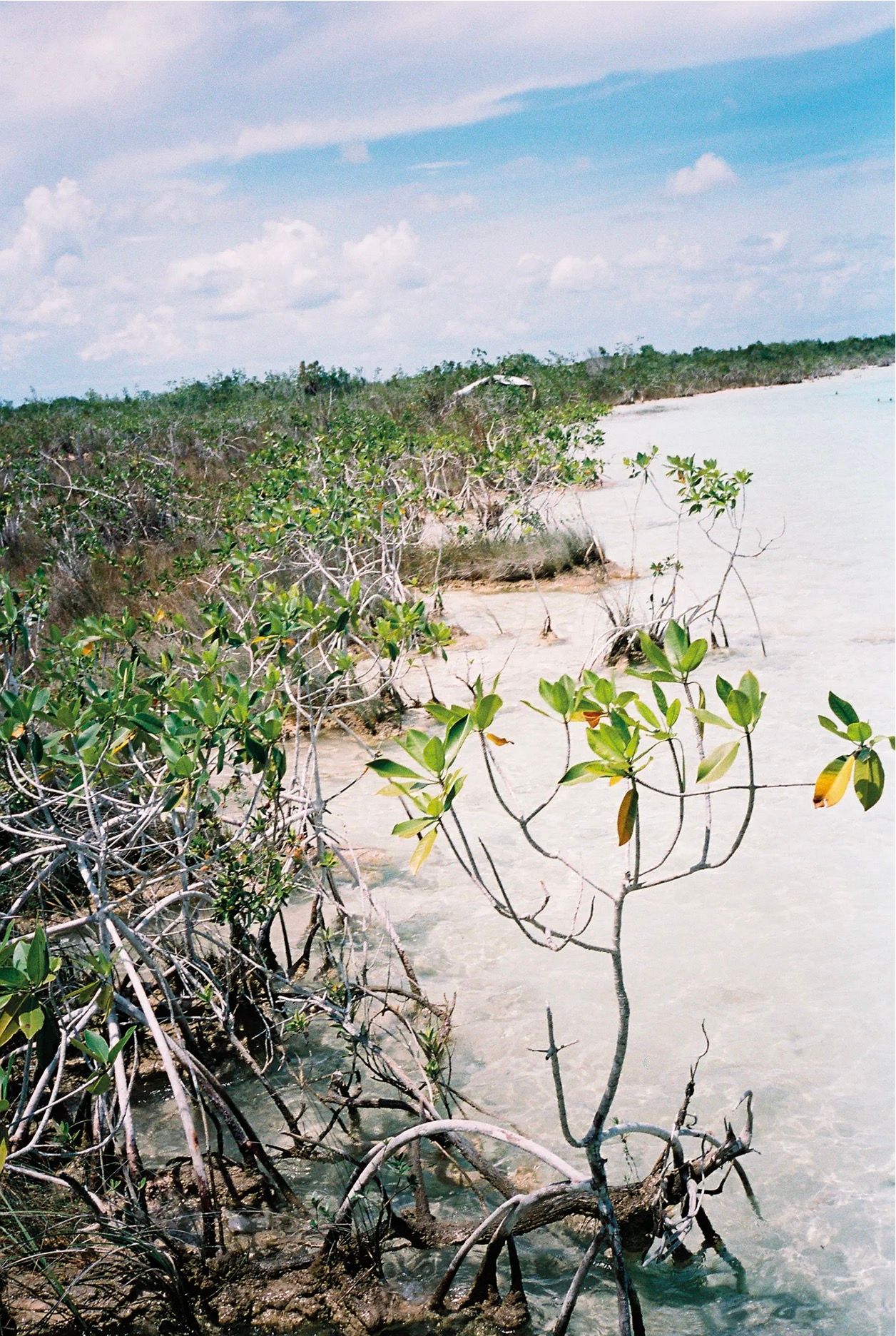 MUNDO MAYA, image 10