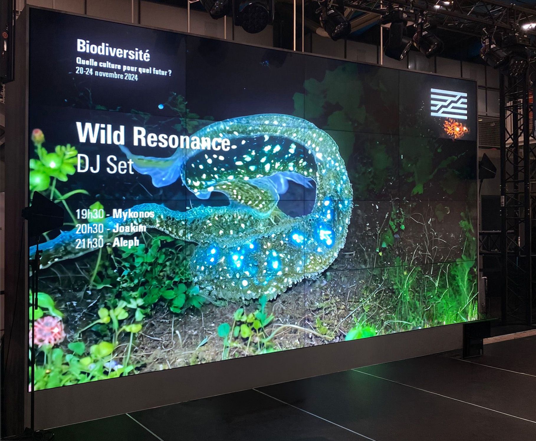 WILD RESONANCE, image 1
