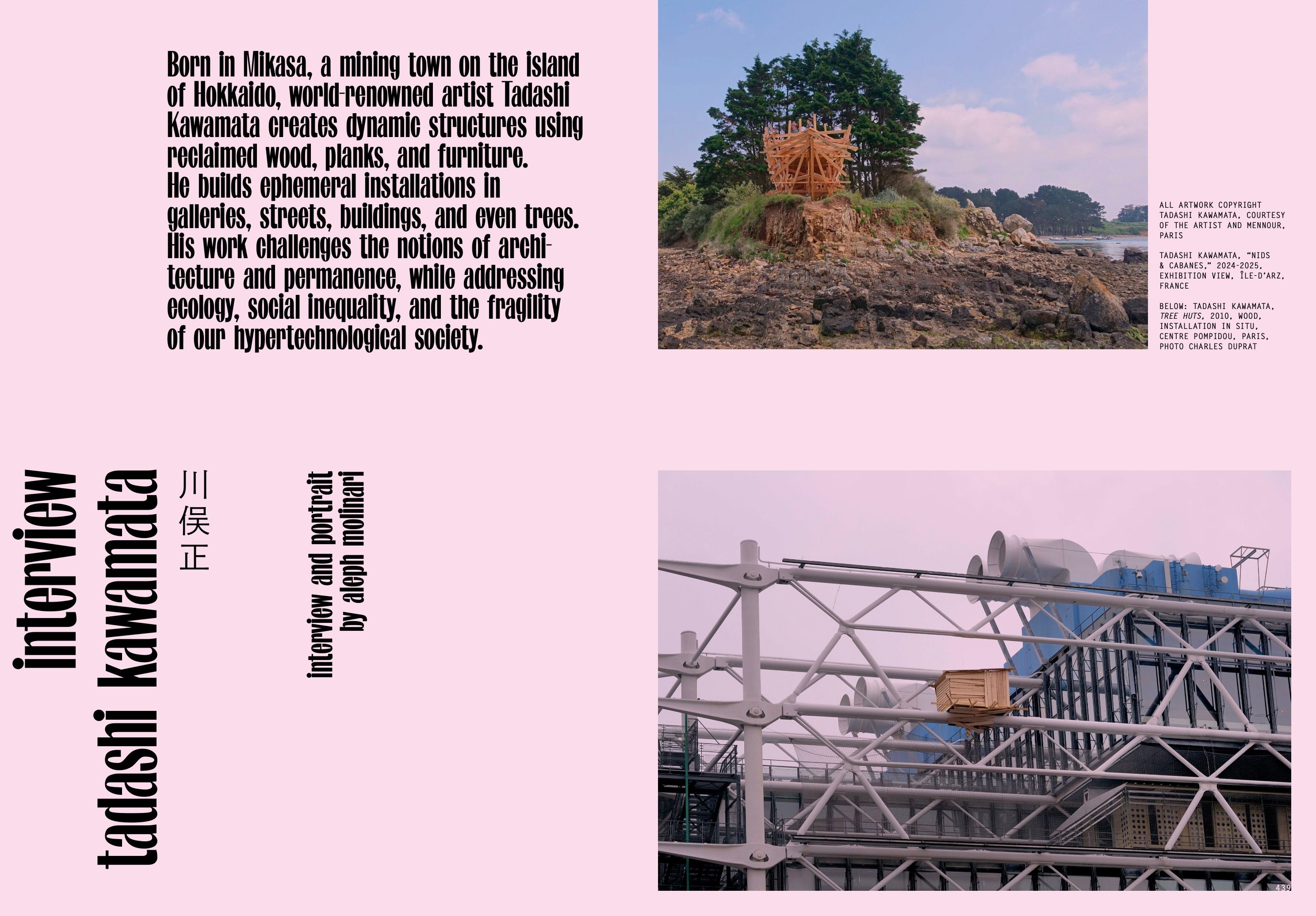 TADASHI KAWAMATA, image 1