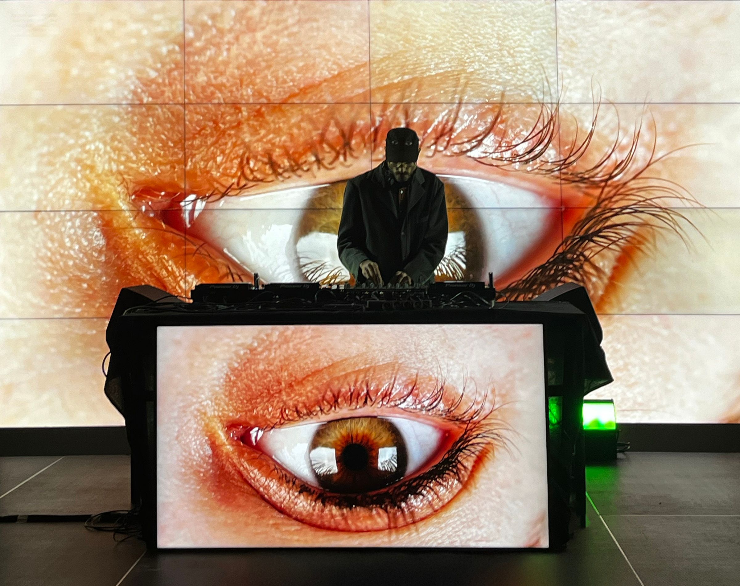 WILD RESONANCE, image 2