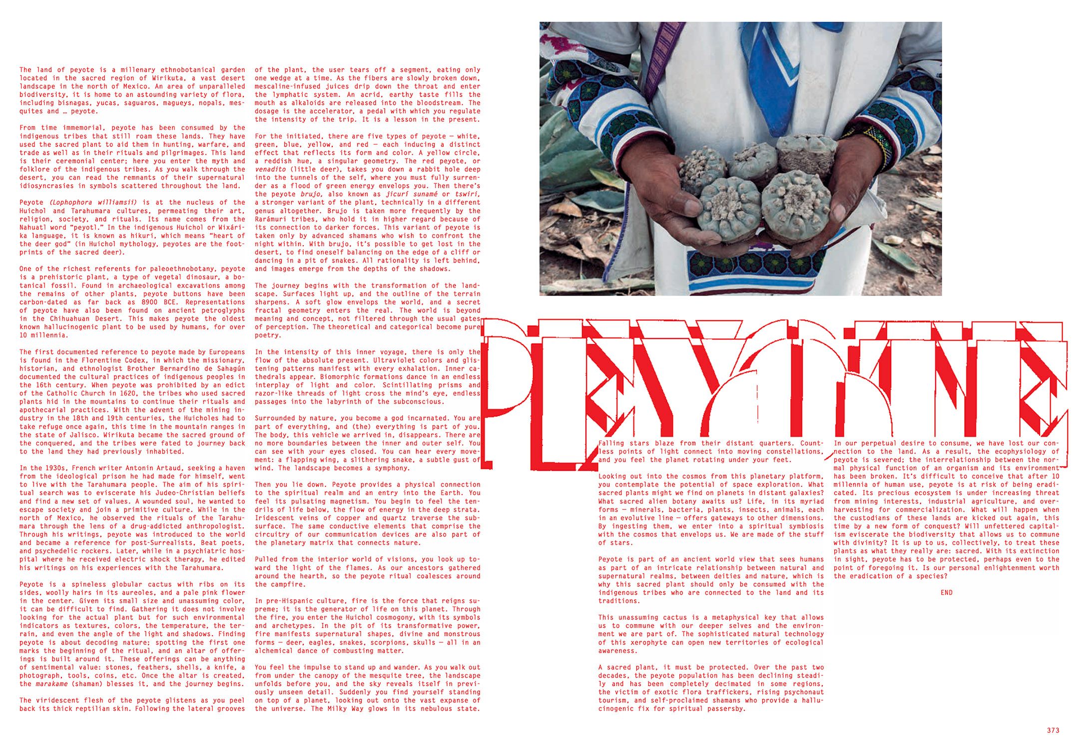 SACRED PEYOTE, image 2