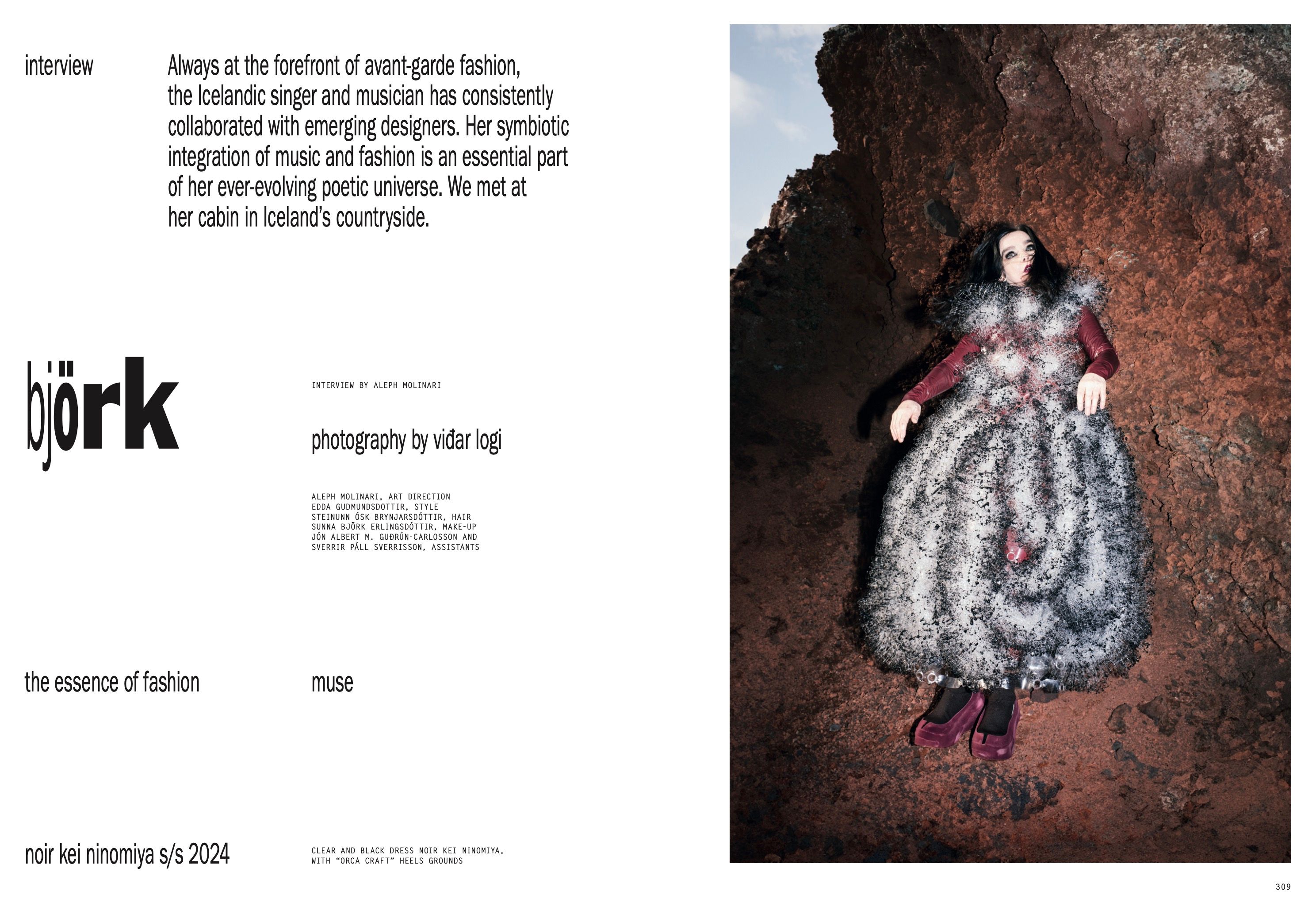 BJÖRK, image 1