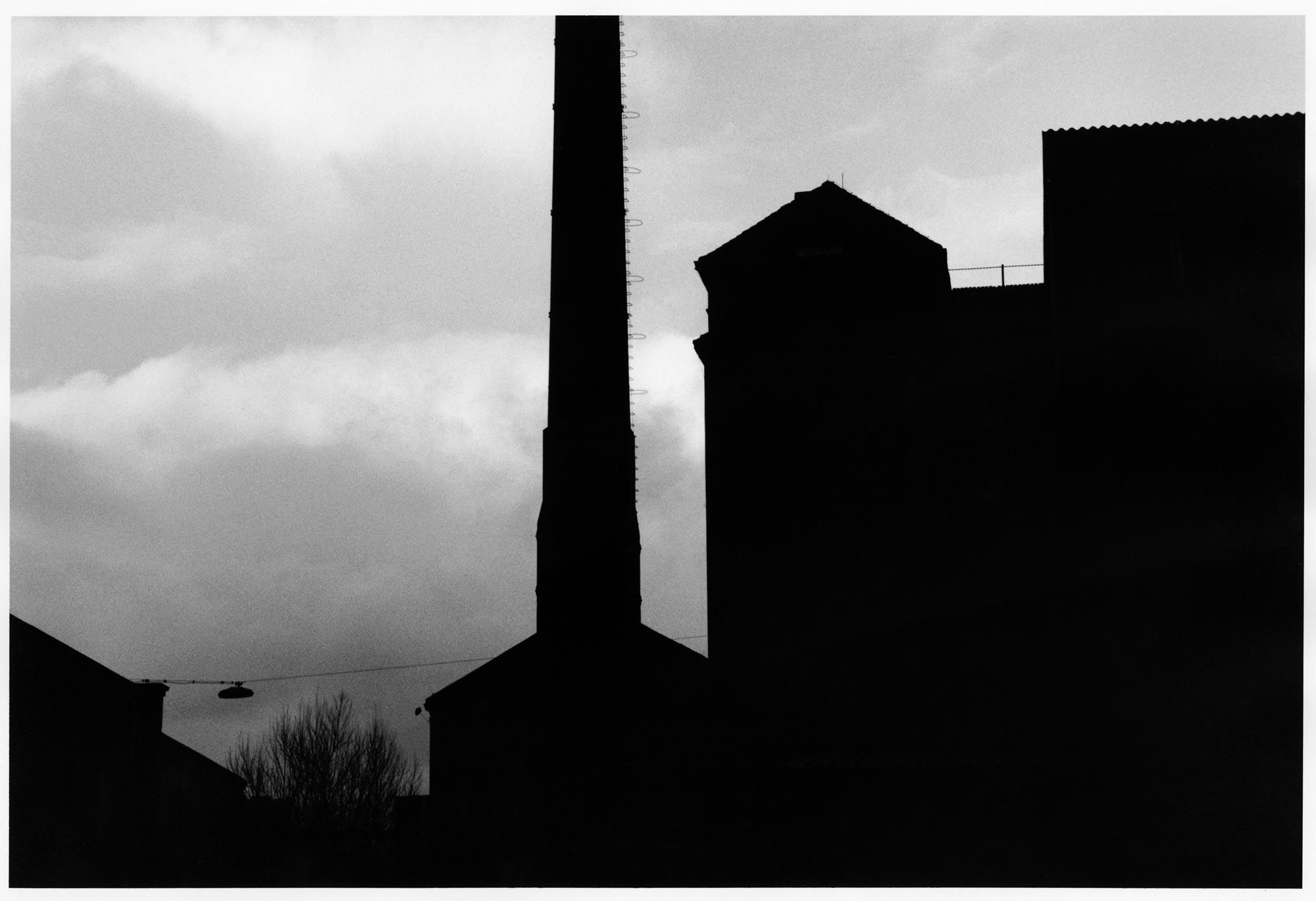 DAVID LYNCH, image 4