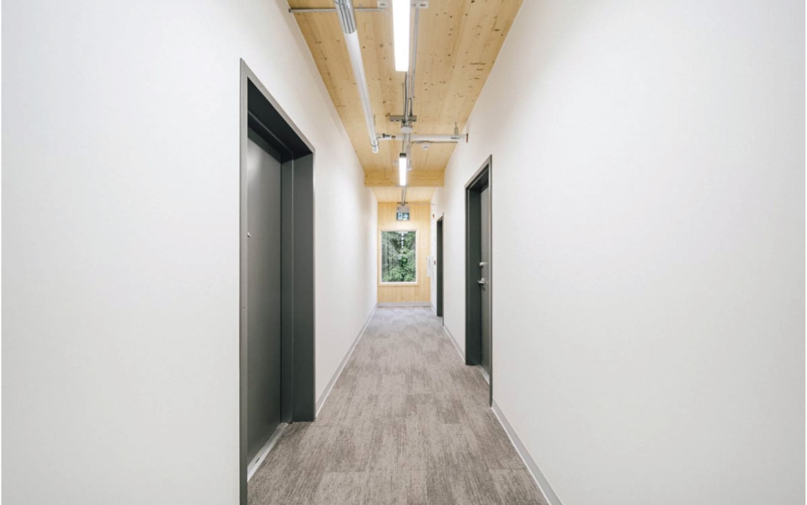 Interior hallway at Passage House with an exposed mass timber ceiling, linear lighting, and suite doors.