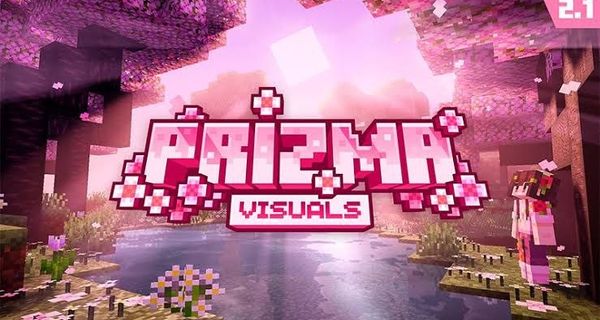 Prizma Visuals