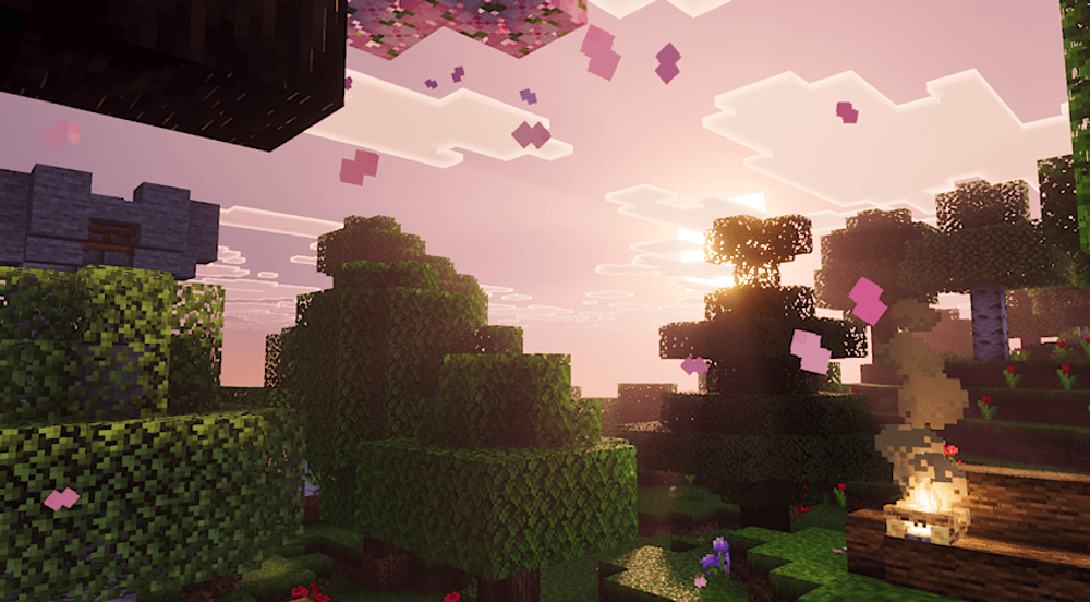 PRIZMA VISUALS 2
