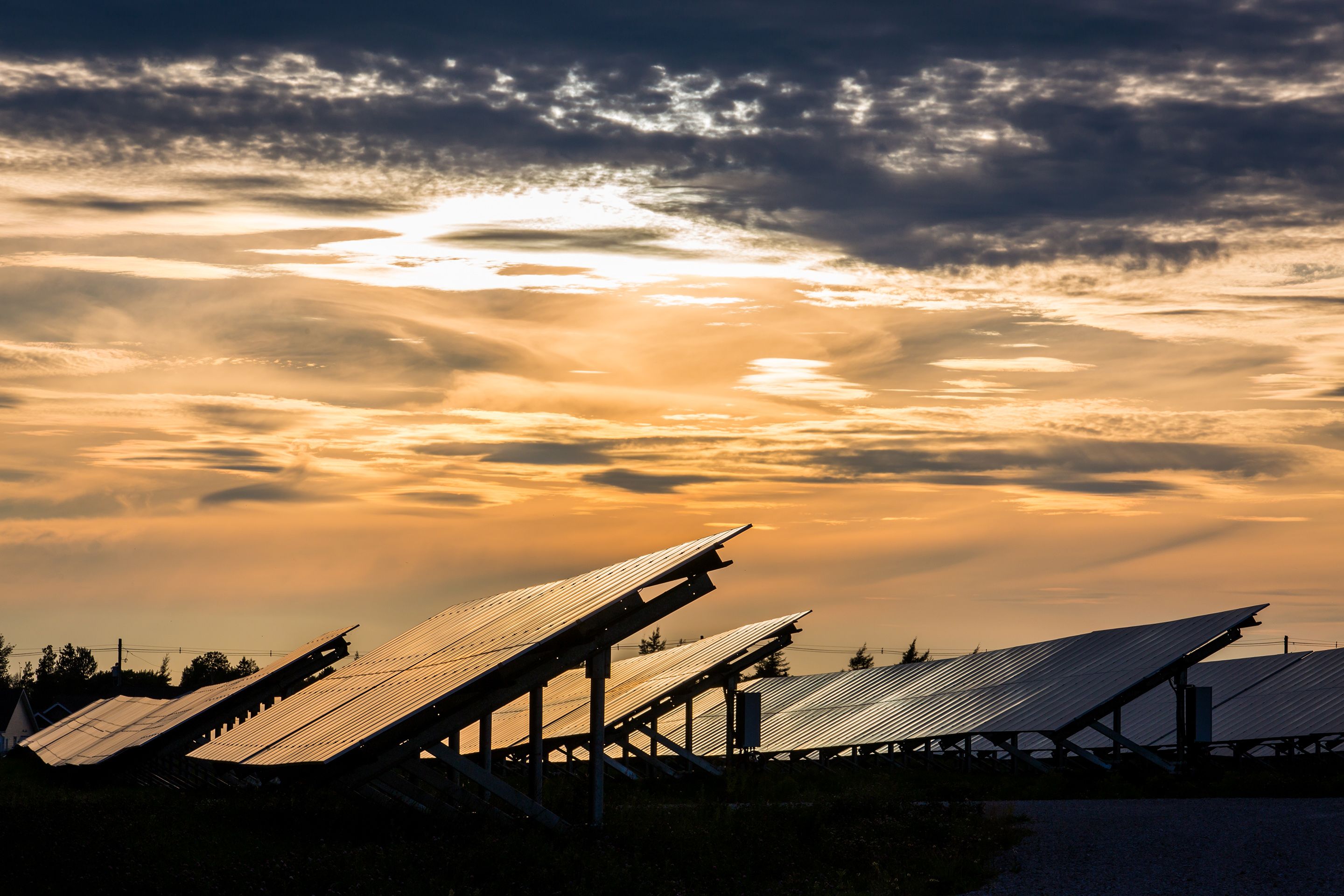 The sun sets over rows of solar panels at Summerside, P.E.I.'s 80-acre Sunbank solar farm and battery storage facility.
