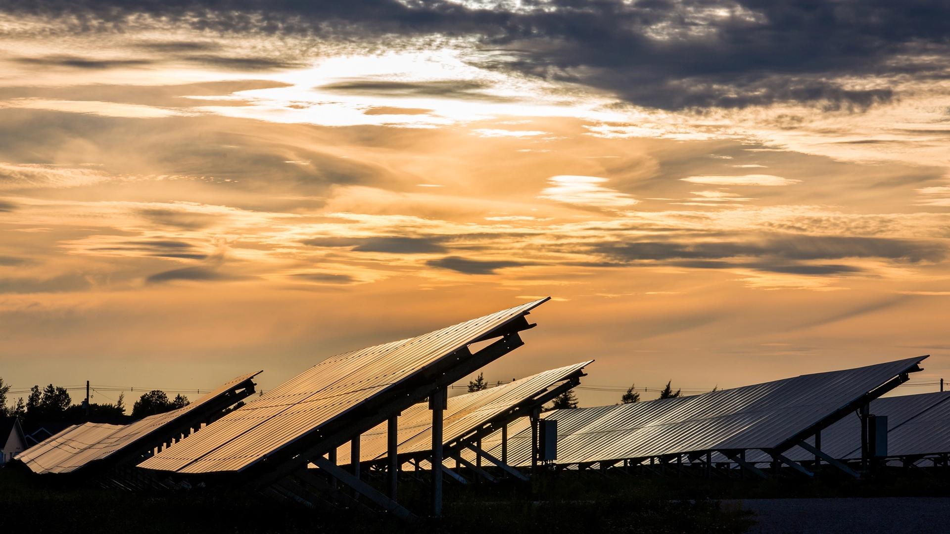 The sun sets over rows of solar panels at Summerside, P.E.I.'s 80-acre Sunbank solar farm and battery storage facility.