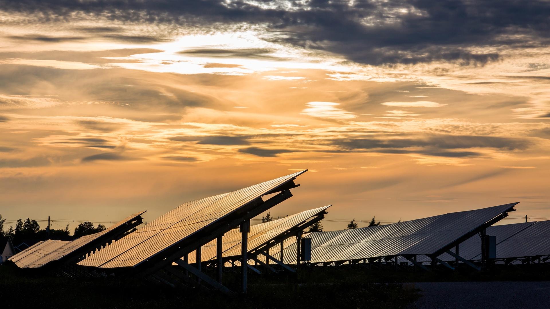 The sun sets over rows of solar panels at Summerside, P.E.I.'s 30-hectare Sunbank solar farm and battery storage facility.