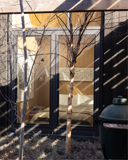 Sunlight streaming into a window at Ulster House