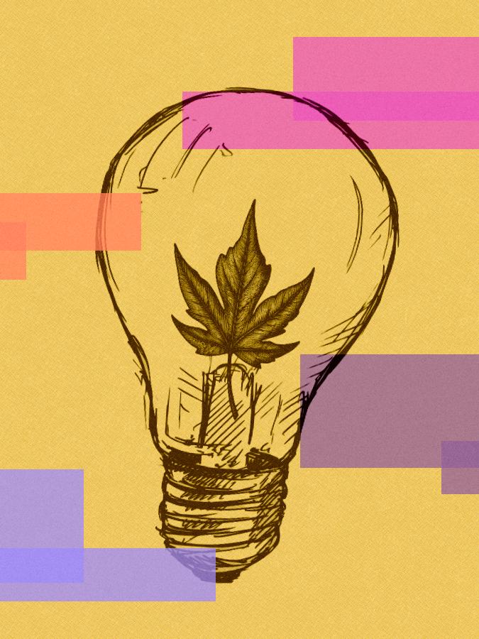 Mustard background with pink, orange and purple rectangles. A sketched illustration of a lightbulb with a maple leaf inside