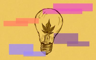 Mustard background with pink, orange and purple rectangles. A sketched illustration of a lightbulb with a maple leaf inside