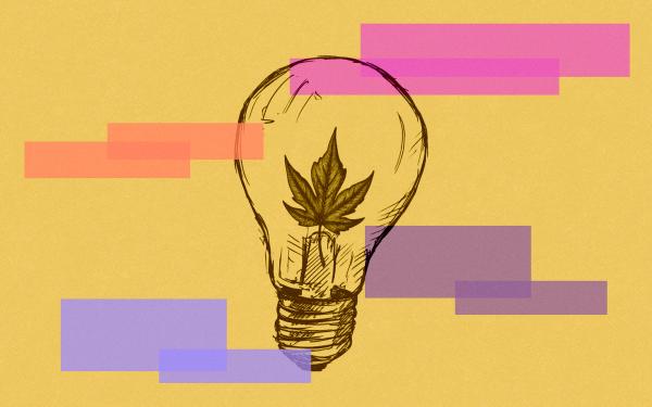 Mustard background with pink, orange and purple rectangles. A sketched illustration of a lightbulb with a maple leaf inside