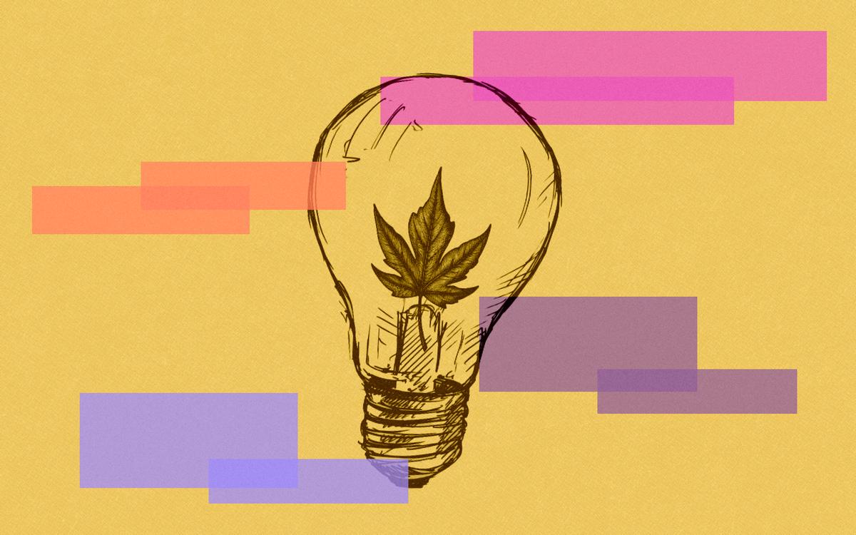 Mustard background with pink, orange and purple rectangles. A sketched illustration of a lightbulb with a maple leaf inside