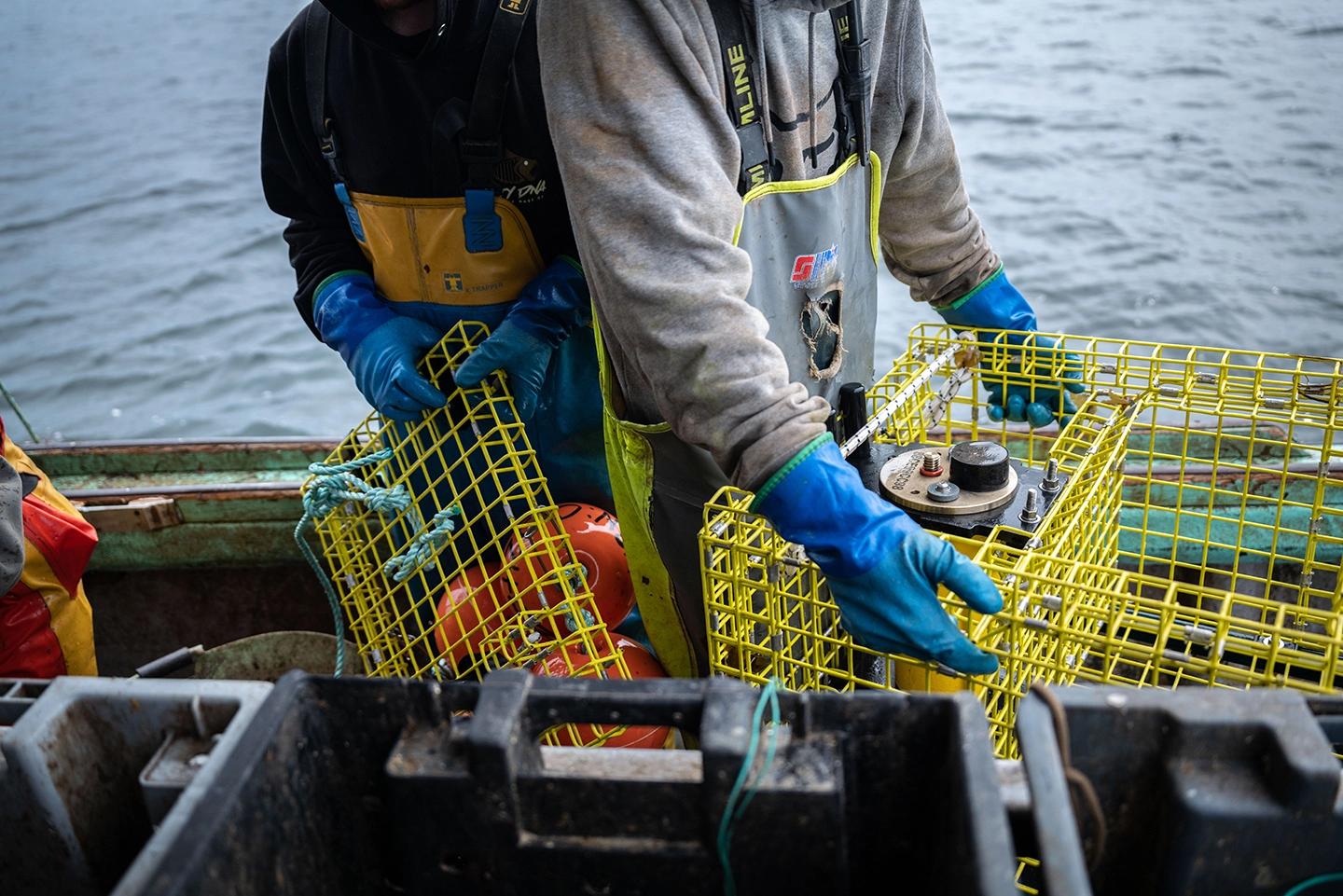 The transducer's clicking sound prompts the crate to release its lid.
