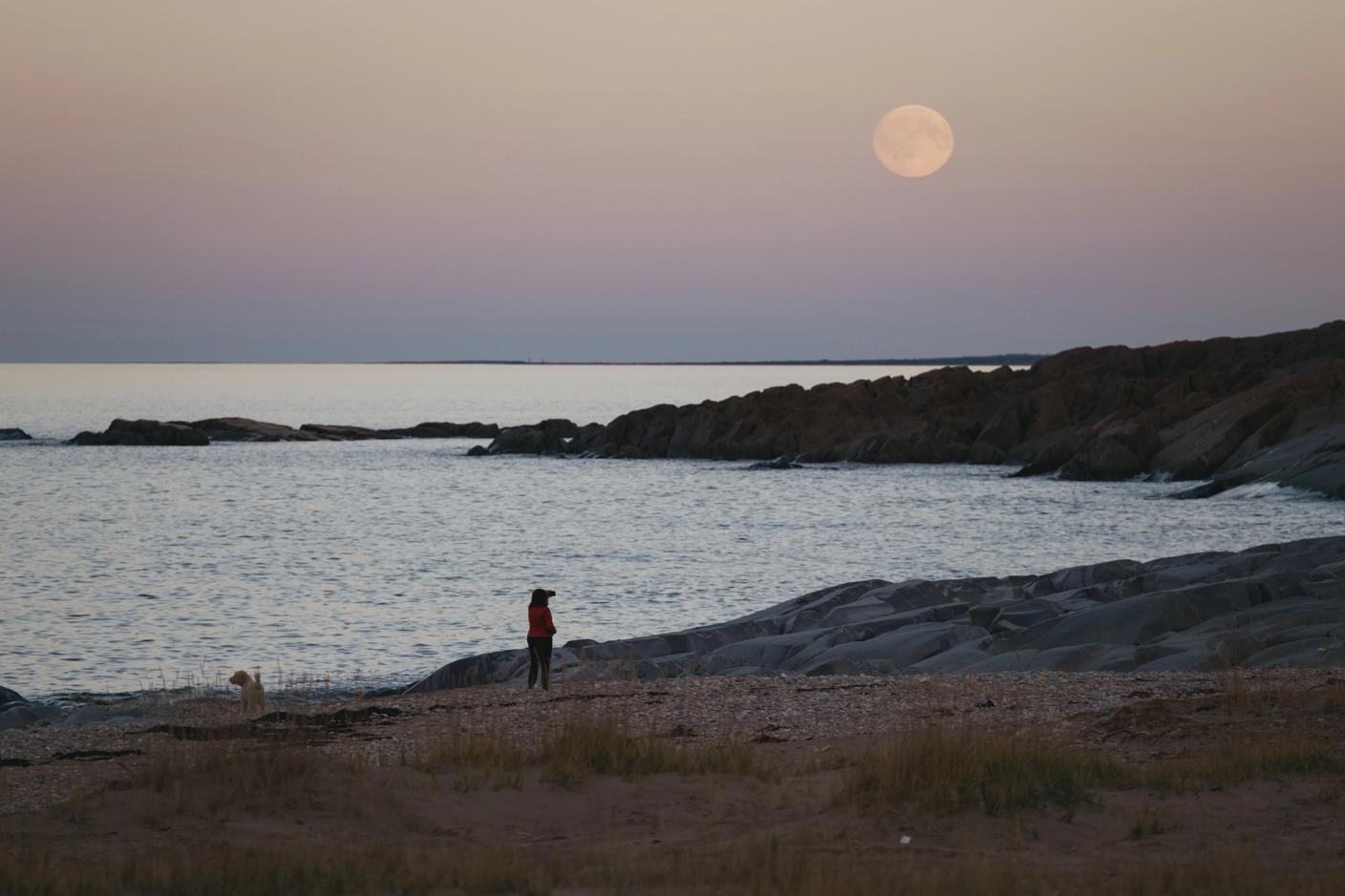 A woman walks her dog along the shoreline in Churchill, Manitoba. 