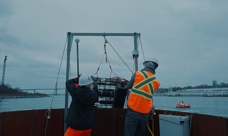 About 30 per cent of the carbon dioxide emitted by human industries has been absorbed into the ocean—lowering the average pH of the oceans over time.