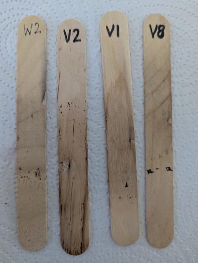 Collection strips from the ovitraps.