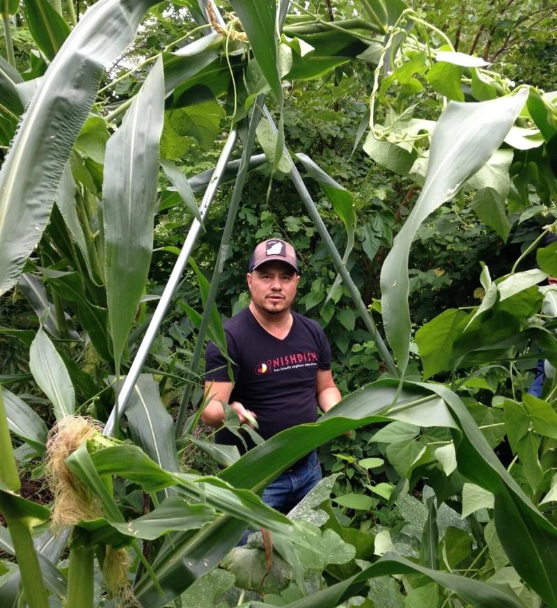 “There are very few [pawpaws] left in this part of the world, but they’re ancient to the land,” says Johl Whiteduck Ringuette. He is a chef, educator and founder of Miinikaan Innovation & Design, an Ontario-based Indigenous garden and landscaping firm.