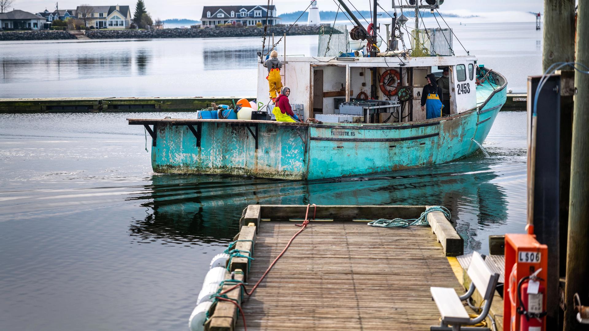 A turquoise blue lobster and crab fishing vessel with the name All Done and a crew of fishers working on it pulls out of the wharf filled with ropeless fishing gear near St. Andrews New Brunswick