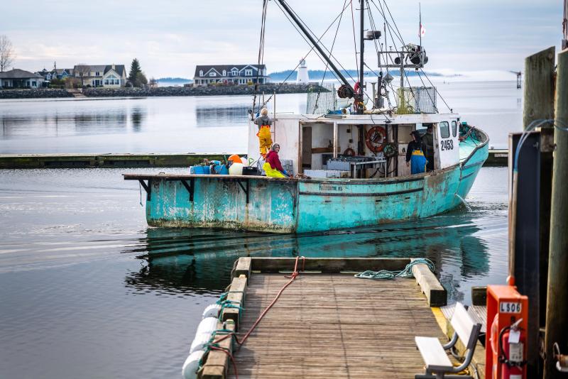 A turquoise blue lobster and crab fishing vessel with the name All Done and a crew of fishers working on it pulls out of the wharf filled with ropeless fishing gear near St. Andrews New Brunswick