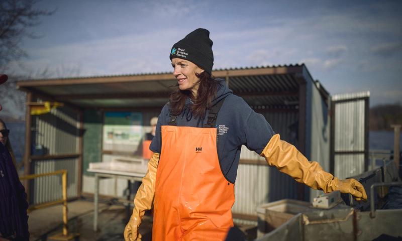 A woman in an orange Helly Hansen vinyl overalls and over-the-elbow yellow gloves and a Royal Botanical Gardens tuque looks over the Hamilton Fishway