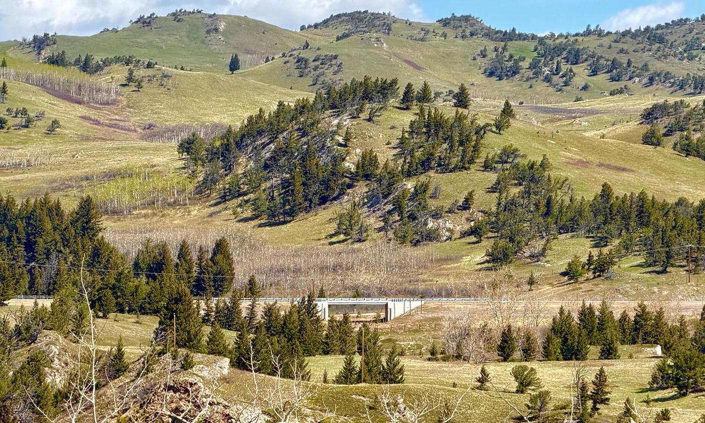 Rolling hill speckled with trees and an underpass in the distance