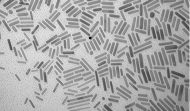 Gold nanoparticles from Transmission Electron Microscope