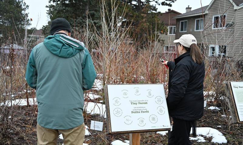 Two people standing in front of a tiny forest, beside a plaque.