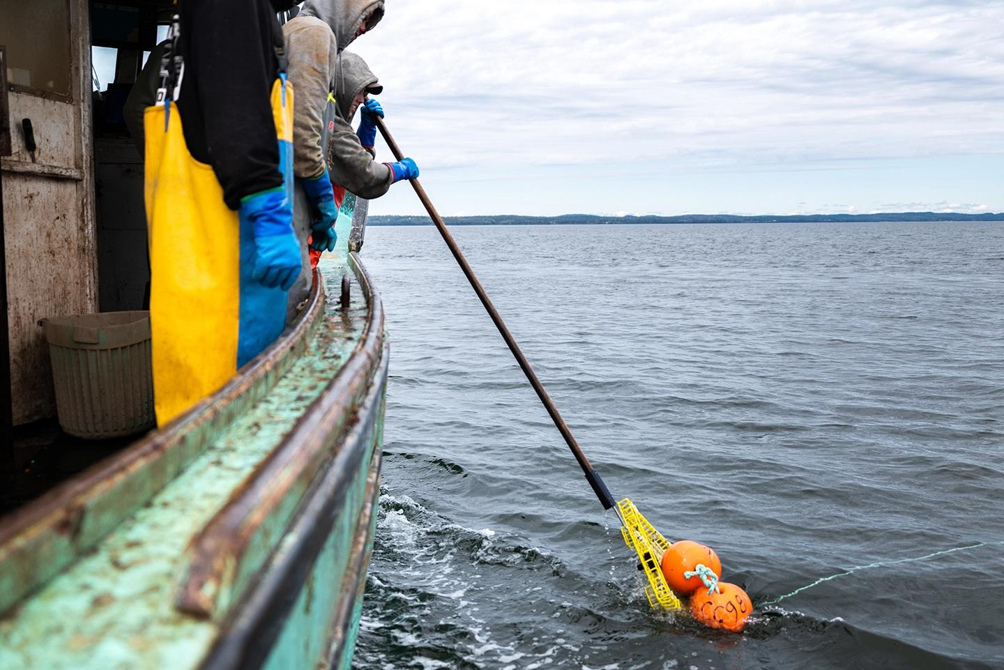 When the lid is released, the coiled rope and buoys rise to the ocean surface, allowing crews to begin hauling up their traps.