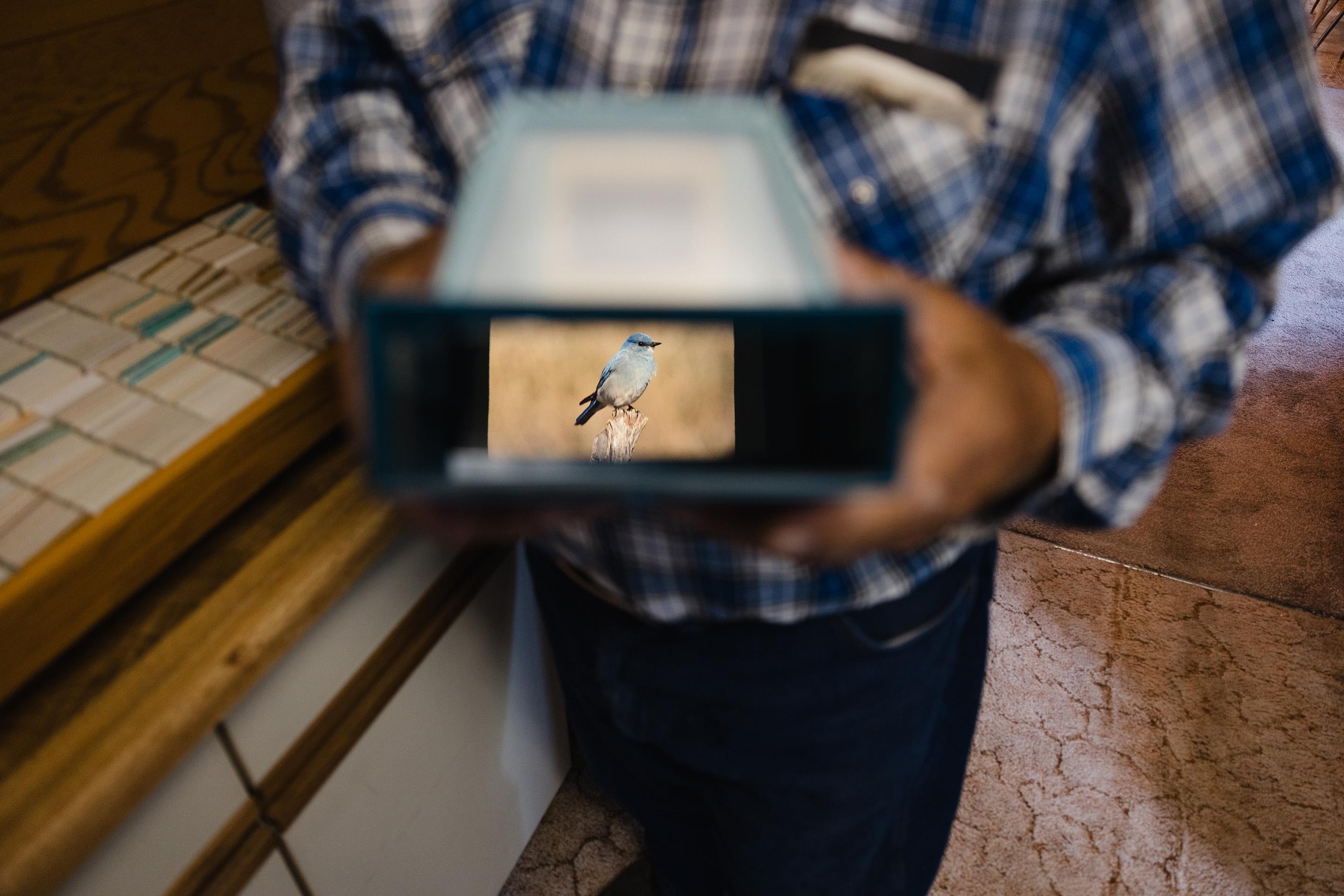 Bluebird nesting boxes dot Scott's property, and while they're used by tree swallows, he hasn't seen a bluebird at his farm since 2014.