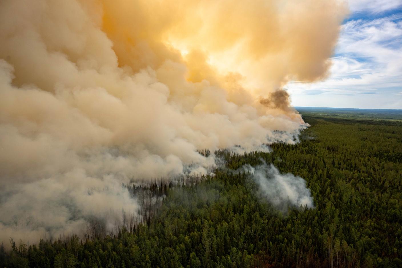 An aerial view of smoke from wildfire rising from a green forest near Fort Nelson, B.C. in 2024.