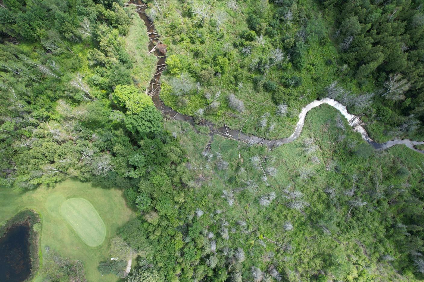 A new AI tool developed by developed by Daniel Butt, a part-time researcher with the Northern Tornadoes Project and a PhD student in software engineering, helps scan satellite images of forests for the tell-tale sign that a tornado has blown through: a long, narrow strip of flattened forest.