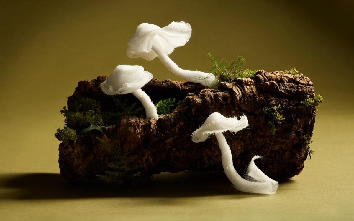 Gauze formed into the shape of mushrooms growing on a log with moss to illustrate a piece on how mushroom mycelium could be used to make more sustainable medical bandages