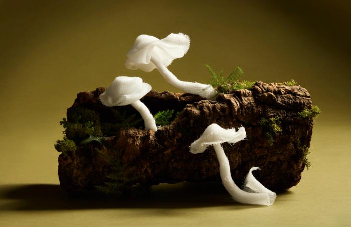 Gauze formed into the shape of mushrooms growing on a log with moss to illustrate a piece on how mushroom mycelium could be used to make more sustainable medical bandages