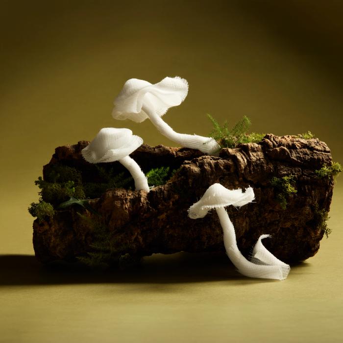Gauze formed into the shape of mushrooms growing on a log with moss to illustrate a piece on how mushroom mycelium could be used to make more sustainable medical bandages