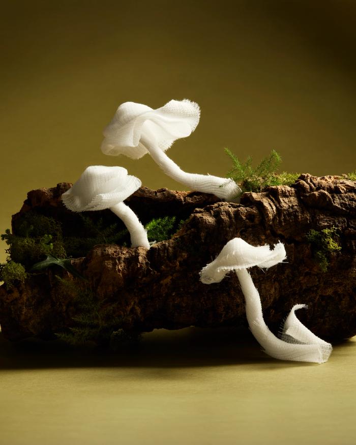 Gauze formed into the shape of mushrooms growing on a log with moss to illustrate a piece on how mushroom mycelium could be used to make more sustainable medical bandages