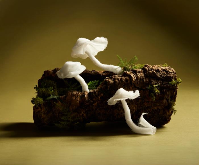 Gauze formed into the shape of mushrooms growing on a log with moss to illustrate a piece on how mushroom mycelium could be used to make more sustainable medical bandages