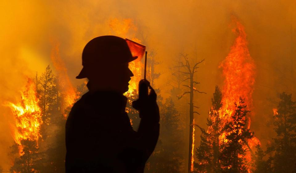 A silhouette of a firefighter standing in front of a burning, smoke-filled forest. The firefighter is talking into their walkie-talkie