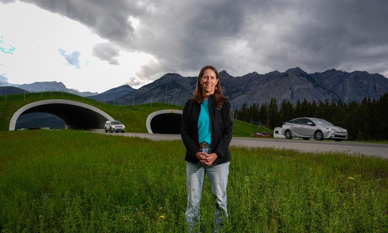 Jody Hility stands in front of a wildlife crossing with mountains and a cloudy sky in the background