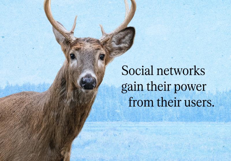 A deer on a blue background with the words 'Social networks gain their power from their users' beside it