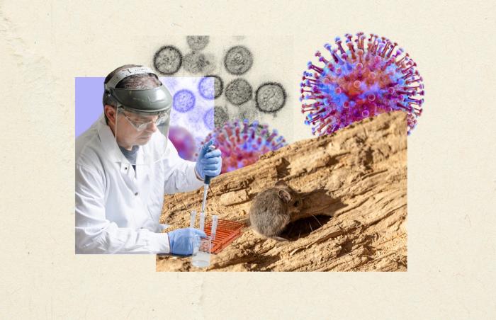 The search for answers on hantavirus