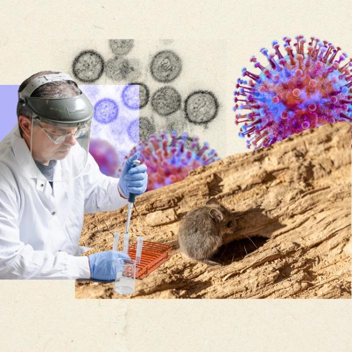 The search for answers on hantavirus